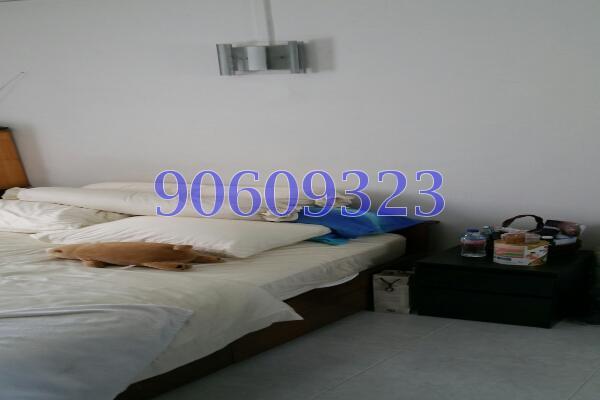Blk 907 Tampines Avenue 4 (Tampines), HDB 3 Rooms #137954762